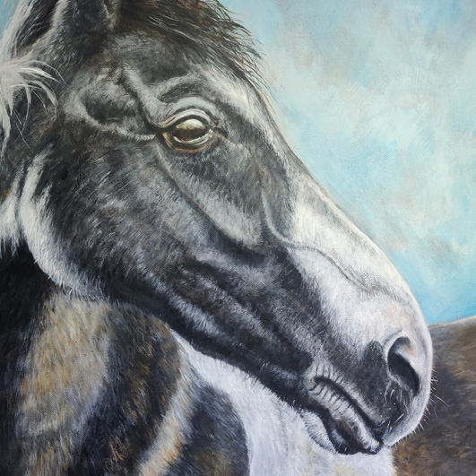 A_horse_called_Cherokee